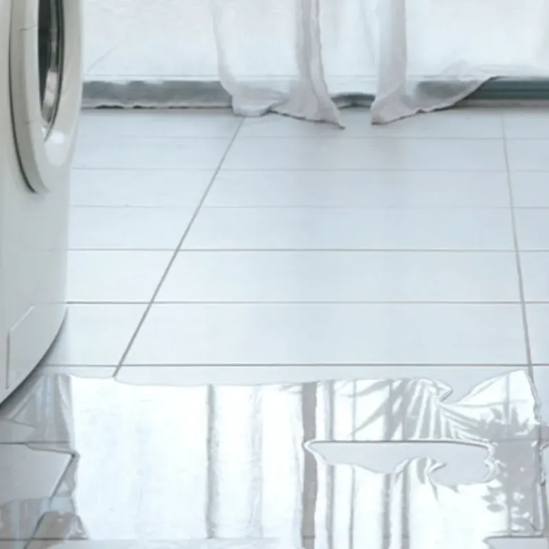 Appliance Leak Cleanup in Covedale, OH