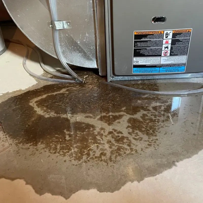 Pipe Burst and Leak Restoration in Covedale, OH