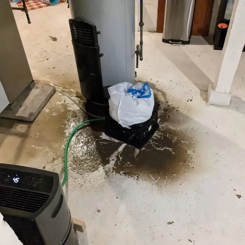 Sewage Backup Cleanup Service in Covedale, OH